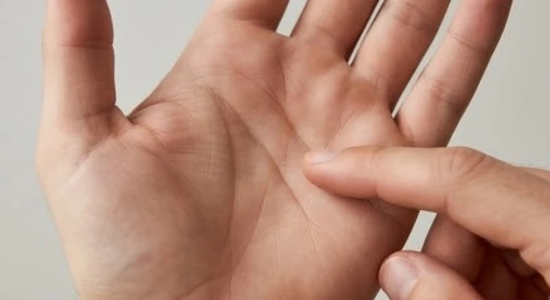 Nếp gấp đường trí đạo chạy chéo qua lòng bàn tay hướng về phía gò Thái Âm ở mép ngoài