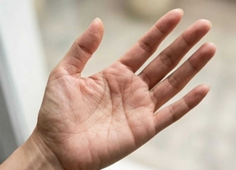 Xem chỉ tay trái hay tay phải: Quy tắc chọn tay và cách đối chiếu 3 Bàn tay trái của người phụ nữ trưởng thành thể hiện thành tựu sự nghiệp sau 30 tuổi