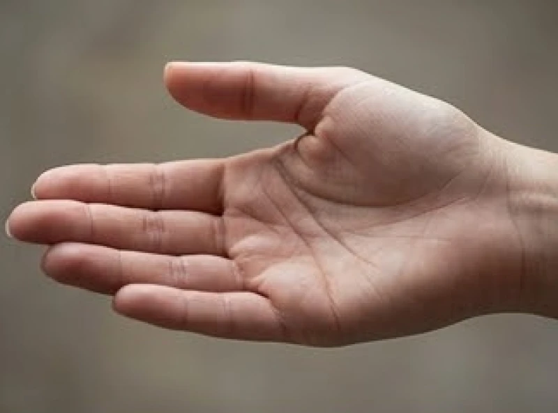 Phân tích đường tâm đạo trên bàn tay trái của nữ giới để khám phá trực giác và khao khát tình cảm bẩm sinh