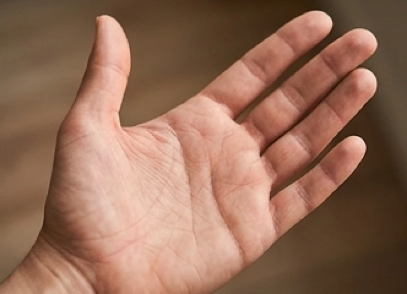 Đường thái dương bị đứt đoạn: Ý nghĩa tả hữu và cách hóa giải 7 Xem xét đường thái dương trên bàn tay trái của nữ giới để đánh giá công việc hiện tại