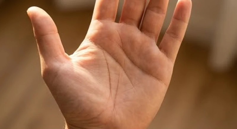 Đường sự nghiệp dài: Tiêu chuẩn nhận biết và ý nghĩa luận giải 1 Lòng bàn tay hướng lên ánh sáng tự nhiên với nếp gấp công danh chạy dài nguyên vẹn ở vị trí chính giữa