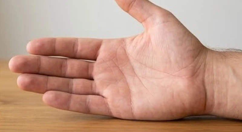 Bàn tay trái của nam giới được xem là nơi lưu giữ những đường chỉ tay bẩm sinh