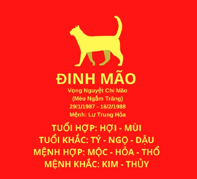 Thong Tin Tuoi Dinh Mao 1987