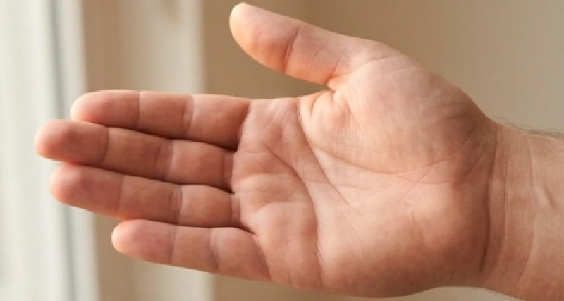 Đường tiền tài nằm ở đâu: Vị trí chính xác và quy tắc chọn tay xem 2 Bàn tay mềm mại và đầy đặn với các nếp vân rõ nét biểu thị vận may và sự sung túc