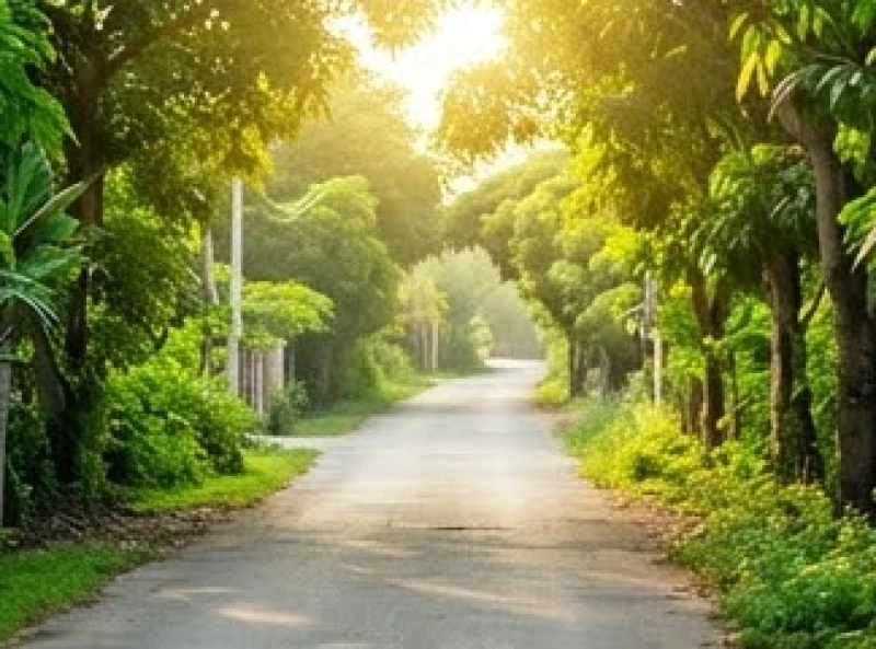Khung cảnh con đường rợp bóng cây xanh ngập tràn nắng ấm trong buổi sáng đầu năm
