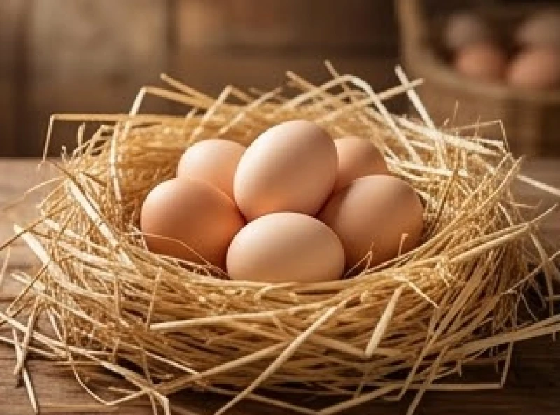 Mơ thấy ổ trứng gà: Tra cứu điềm báo bối cảnh và số tài lộc 1 Một ổ trứng gà sạch sẽ nằm nguyên vẹn giữa đống rơm rạ mang năng lượng sinh sôi tích cực