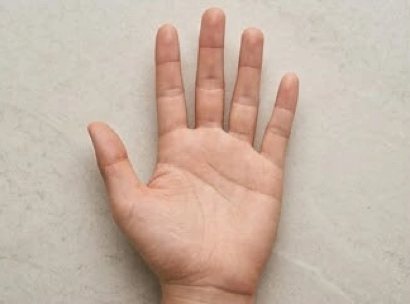 Xem tướng ngón tay: Quy tắc nam nữ và mốc đo tỷ lệ chuẩn 1 Lòng bàn tay duỗi thẳng thể hiện rõ hình dáng năm ngón tay dùng trong việc luận giải tính cách và vận mệnh